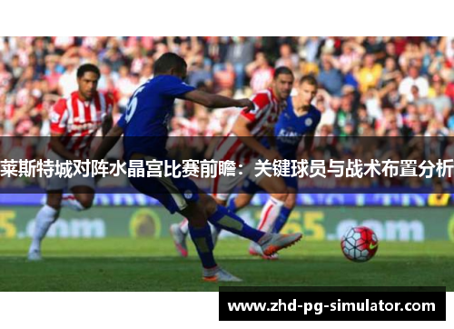 莱斯特城对阵水晶宫比赛前瞻：关键球员与战术布置分析